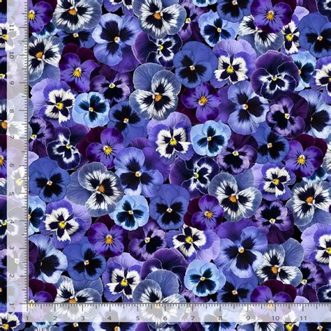 Timeless Treasures Pansy Paradise Packed Panises Fabric Black Cotton
