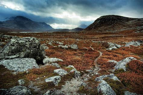 Life In The Tundra The Coldest Biome On Earth