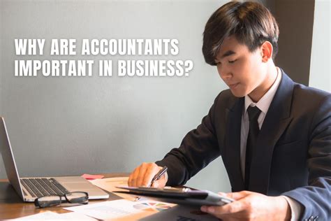 Why Are Accountants Important In Business What You Need To Know