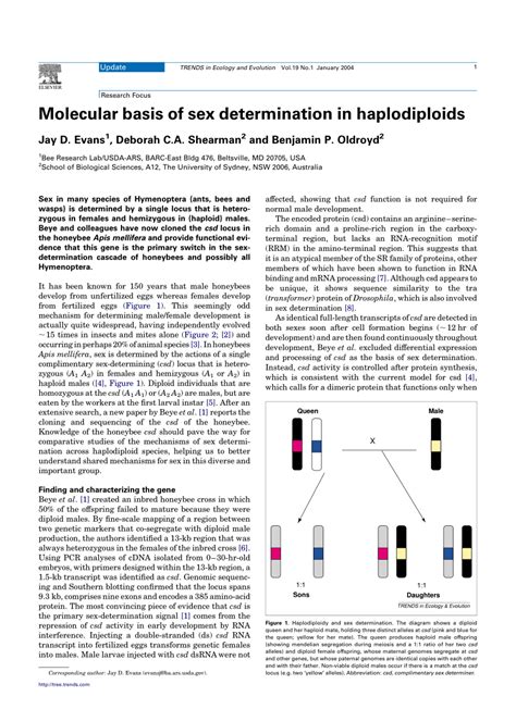 Pdf Molecular Basis Of Sex Determination In Haplodiploids