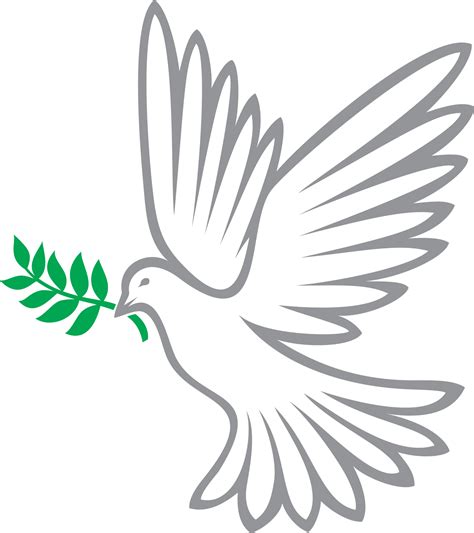 Christian Dove Png