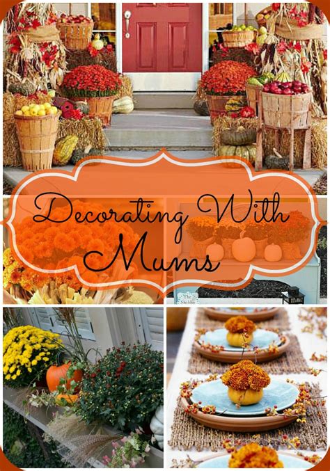 Flower pollination is the transmitting of pollen from a stamen to an ovule. Decorating With Mums for Fall- Floral Decor Ideas- A ...