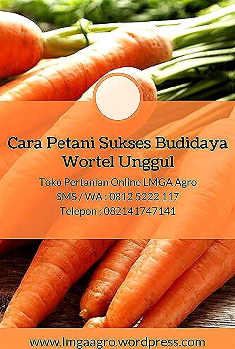 Jenis akar pokok ubi kayu. Bentuk Akar Tumbuhan Ubi Kayu - AKARKUA