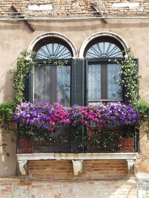Pin By Kathryn Waters On Balconies Dressed Up With Flowers Window Box