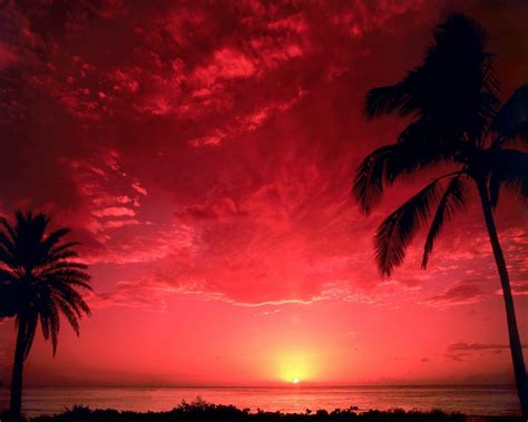 South Pacific Sunset Beautiful Natural Scenery Wallpaper Preview