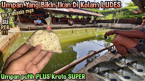 We did not find results for: Umpan Mancing Ikan Mas (Semua Ikan Suka) RACIKAN UMPAN ...
