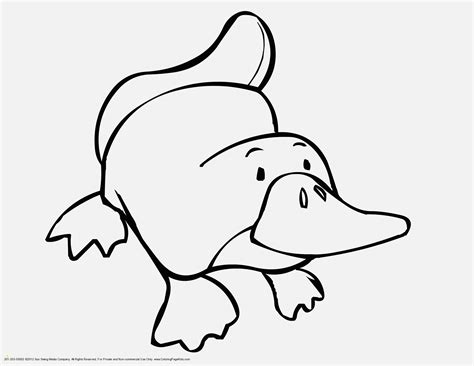 39+ arctic fox coloring pages for printing and coloring. Arctic Fox Coloring Pages | divyajanani.org