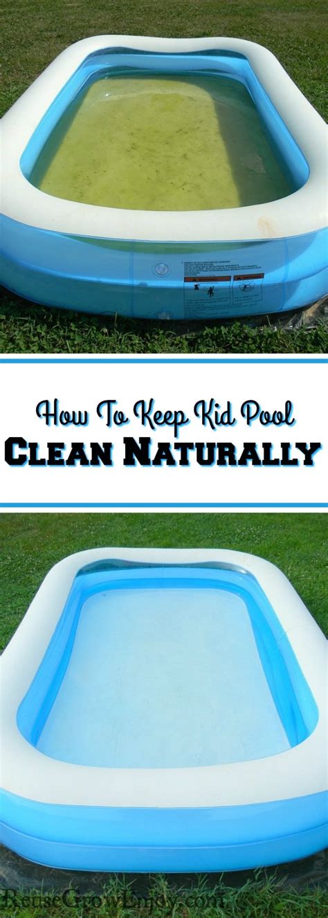 Check spelling or type a new query. How To Keep A Kid Pool Clean Naturally Without Chemicals ...