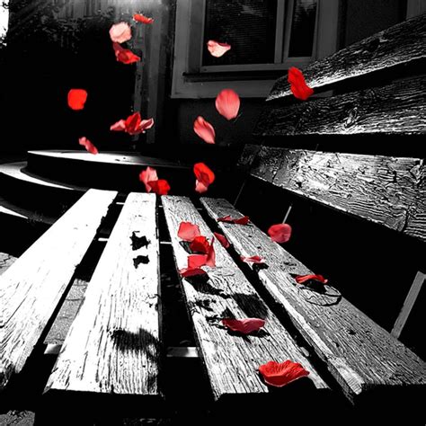 We did not find results for: تحميل صور خلفيات طبيعية لشاشة الايباد download wallpapers ...
