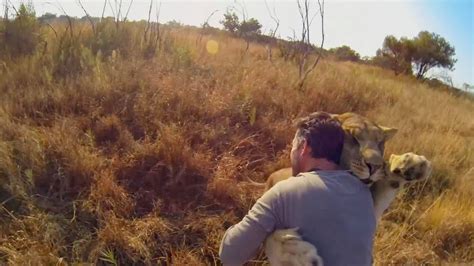 The Virtual Travelers Must See Kevin Richardson The Lion Whisperer