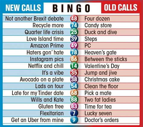 90 Bingo Calls Guide Funny Rude New And Old Bingo Calls
