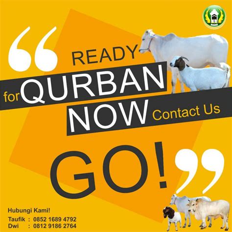 Contoh Laporan Qurban Download Contoh Lengkap Gratis ️