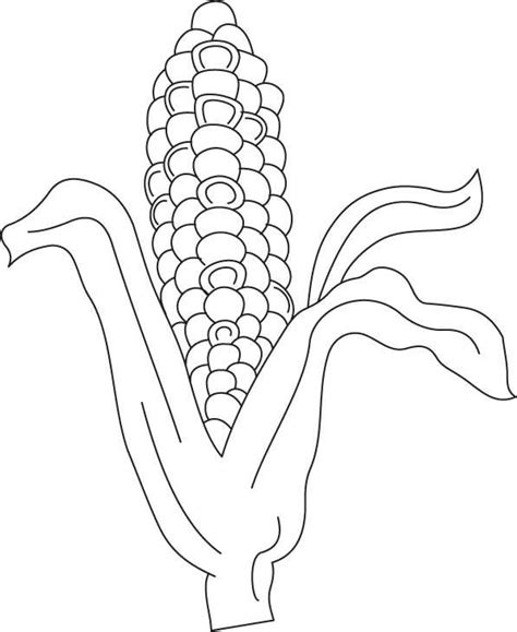 Indian Corn Coloring Page - Coloring Home