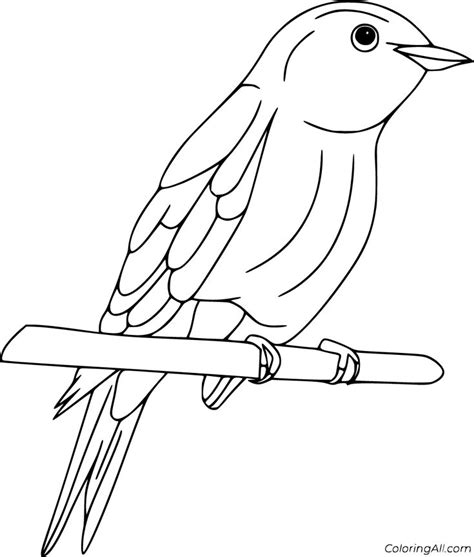 A Bird Sitting On Top Of A Tree Branch Coloring Pages For Adults And