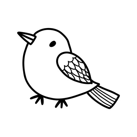 Premium Vector Cute Hand Drawn Bird Doodle Black On White Vector