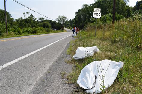 Pick Up The Poconos Environment Friendly Tips