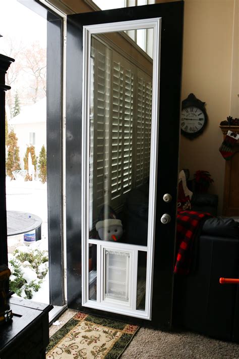 Pet door installation is generally a simple diy task. Extended Kit + EnduraFlap | Door design, Dog door ...