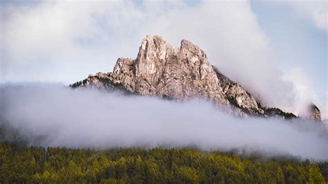 Landscape View Of Rock Mountains Green Trees Forest With Fog In White