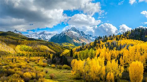 2048x1152 Yellow Forest Landscape 4k Mountains 2048x1152 Resolution