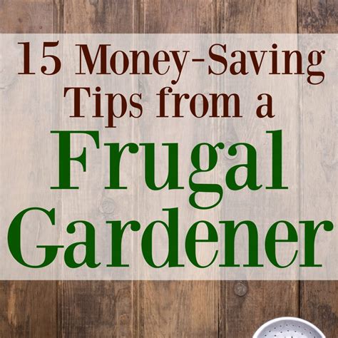 15 Money Saving Tips From A Frugal Gardener Graceful Little Honey Bee