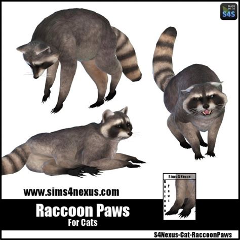 Raccoon Paws By Samanthagump At Sims 4 Nexus Sims 4 Updates