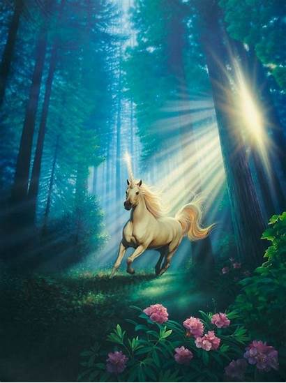 Unicorn Fantasy Wallpapers Forest Flower Sunlight Wallpapertag