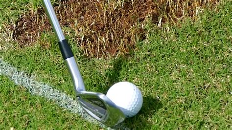 How To Hit The Ball Then The Turf With Your Irons In Golf Top Speed Golf