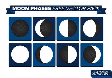Moon Phases Free Vector Pack Download Free Vectors Clipart Graphics