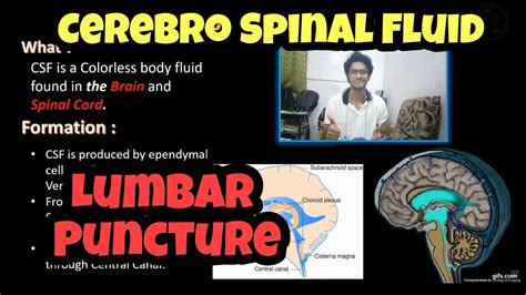 Csf Cerebro Spinal Fluid Lumbar Puncture Tamil Medical Lab
