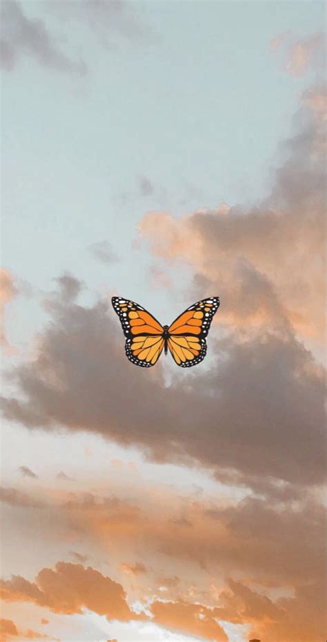 sky  butterfly butterfly wallpaper iphone iphone
