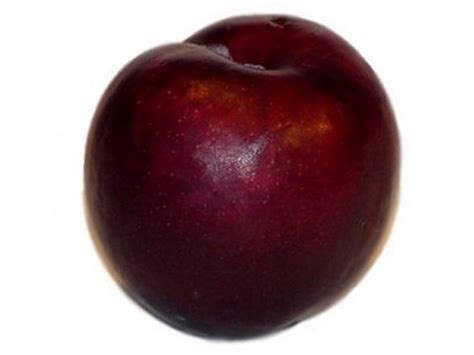 Choose from 36000+ plum picture graphic resources and download in the form of png, eps, ai or psd. La Vita Est Bella: In2It Sheer Shimmer Blush in 03 Plum ...