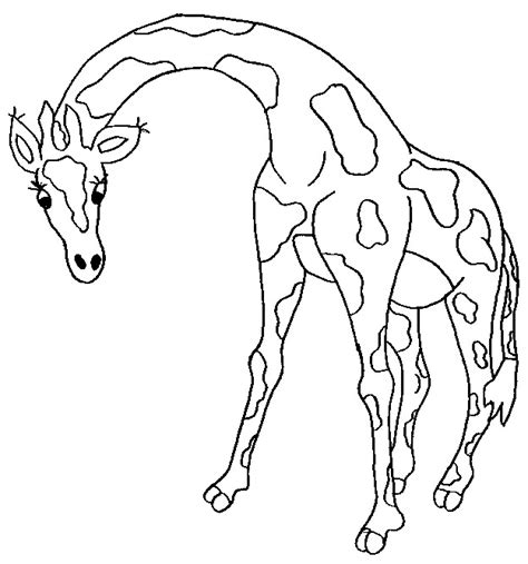 Printable giraffe coloring pages for adults jirafa mandala coloron. Kids-n-fun.com | 45 coloring pages of Giraffe