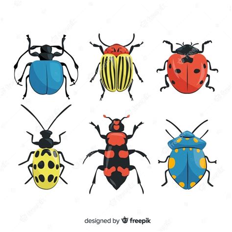 Hand Drawn Colorful Bug Collection Free Vector