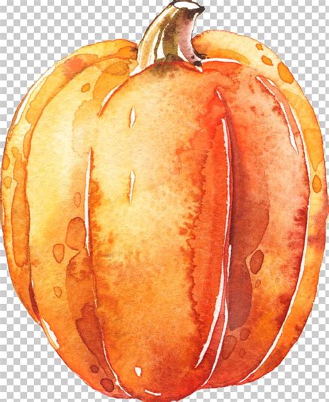 Draw a pumpkin, pumpkin, pumpkin outline, pumpkin coloring, pumpkin watercolor drawing. Pumpkin Calabaza Transparent Watercolor Halloween PNG ...