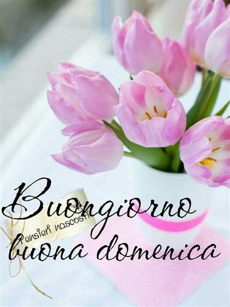 Meteo verbania ⚡ previsioni del tempo per verbania, temperature, precipitazioni, venti, irraggiamento solare, inquinamento dell'aria. With all my love | Buona domenica, Buongiorno, Domenica