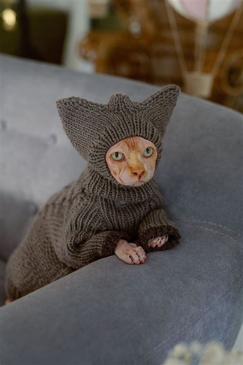 Cat Hat Hand Knit Pet Beanie Sphynx Cat Accessories Crochet Etsy In
