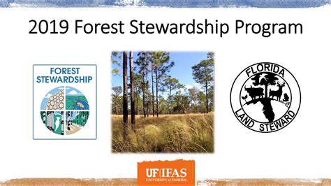 Forest Stewardship Program 2019 In Review Youtube