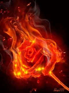 We hope you enjoy our growing collection of hd images to use as a. Beautiful... ️ | Flame art, Twin flame art, Fire art