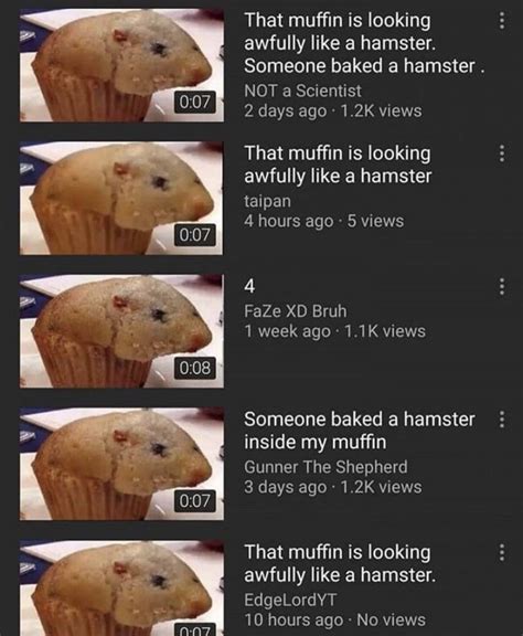 The Muffin Looks Like A Hamster Rcomedyheaven