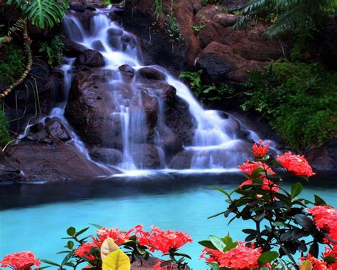 Tropical Waterfall Wallpaper