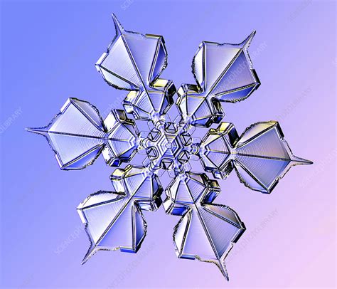 Snowflake Light Micrograph Stock Image C0255943 Science Photo