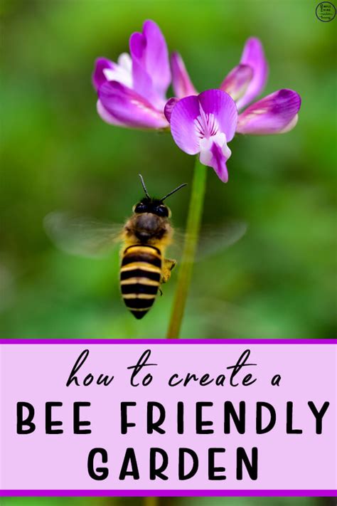 With the dramatic death of bees in the recent years due to pesticides, they need all the help they can get, and considering that. How to create a Bee-Friendly Garden - Simple Living ...