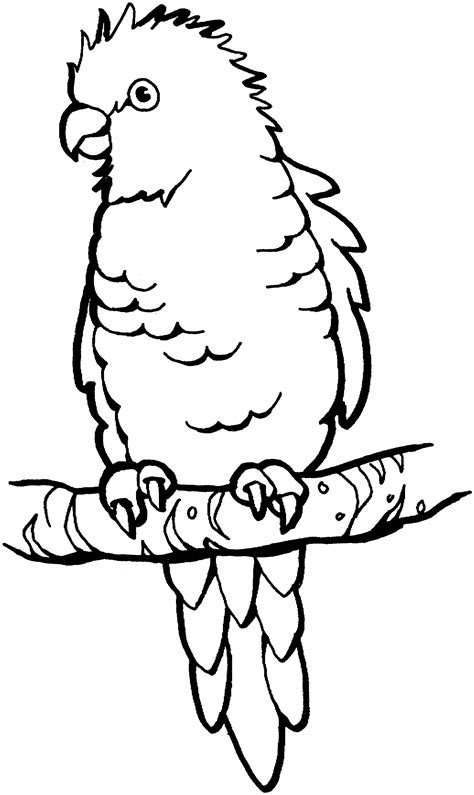 Free Parrot and Macaw Coloring Pages