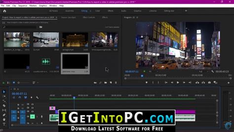 Its features have made it a standard among professionals. Adobe Premiere Pro CC 2019 13.1.5.47 Free Download