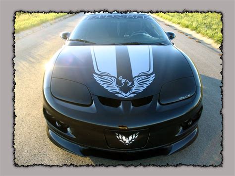 Yay Or Nay On These Stripes Ls1tech Camaro And Firebird Forum