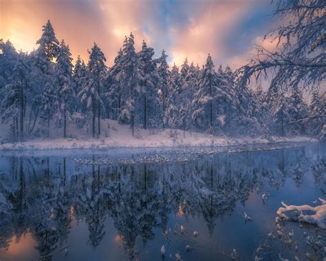 Wallpaper Beautiful Winter Nature Landscape Trees Snow