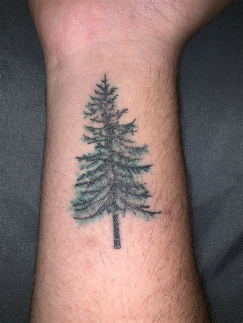 Pine Tree Tattoo Pine Tree Tattoo Tree Tattoo Leaf Tattoos
