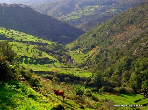The population in 2011 was 22,847, in an area of 4. Aldeia de Sistelo: o pequeno Tibete português - Espírito ...