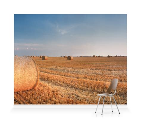 'Round Wheat Bales In Field After Harvesting' Wallpaper Mural | SurfaceView