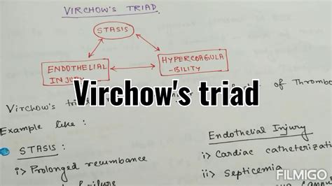 Virchows Triad Revision Seriesbasic Sciences Youtube